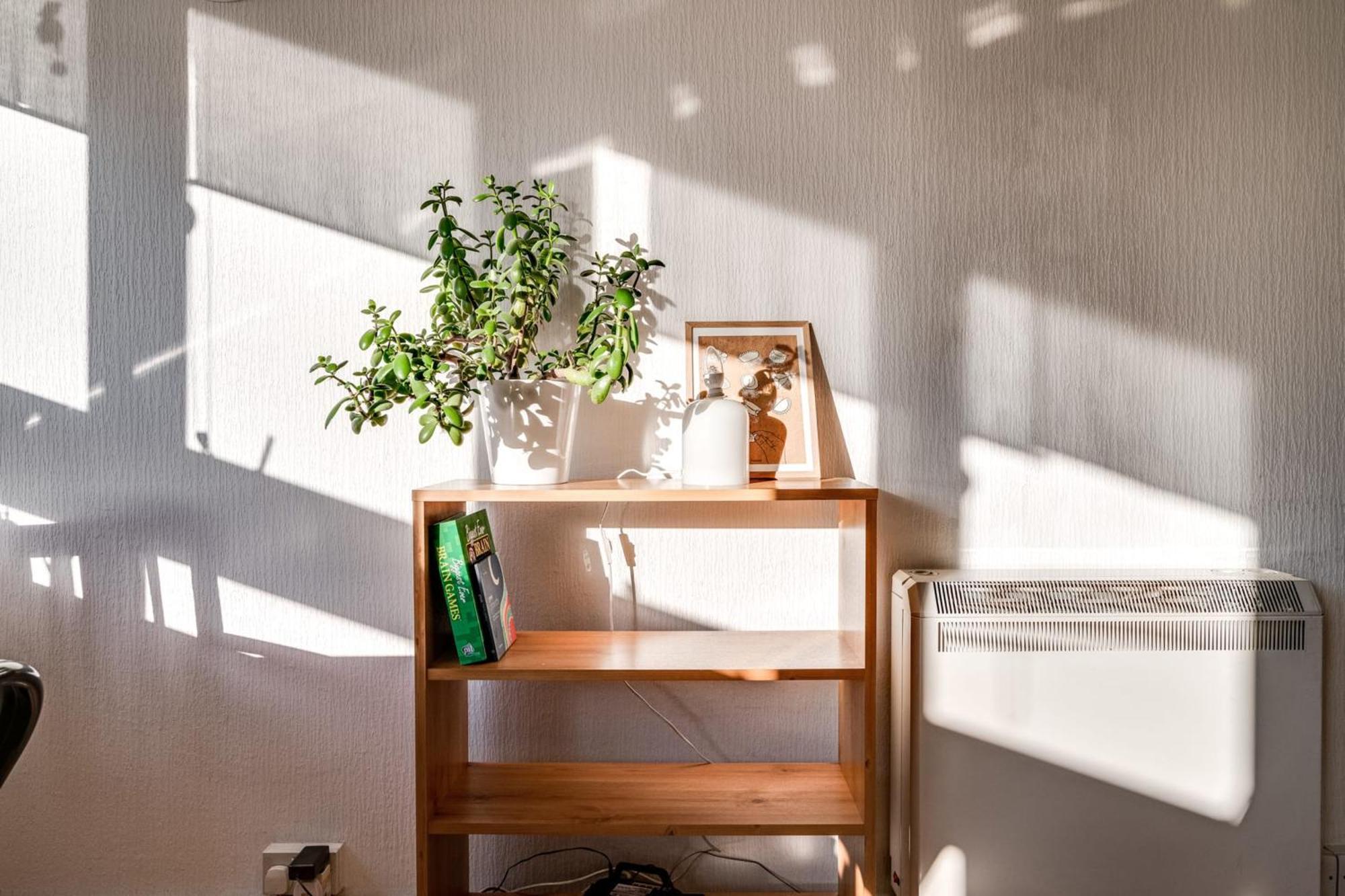 Apartament Cosy Battersea Flat Londyn Zewnętrze zdjęcie